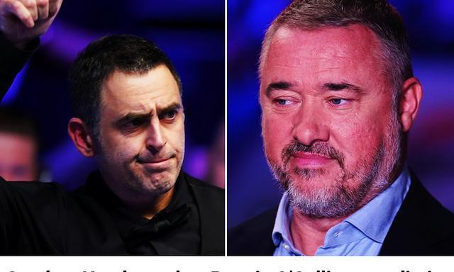 也许也没有, 利文