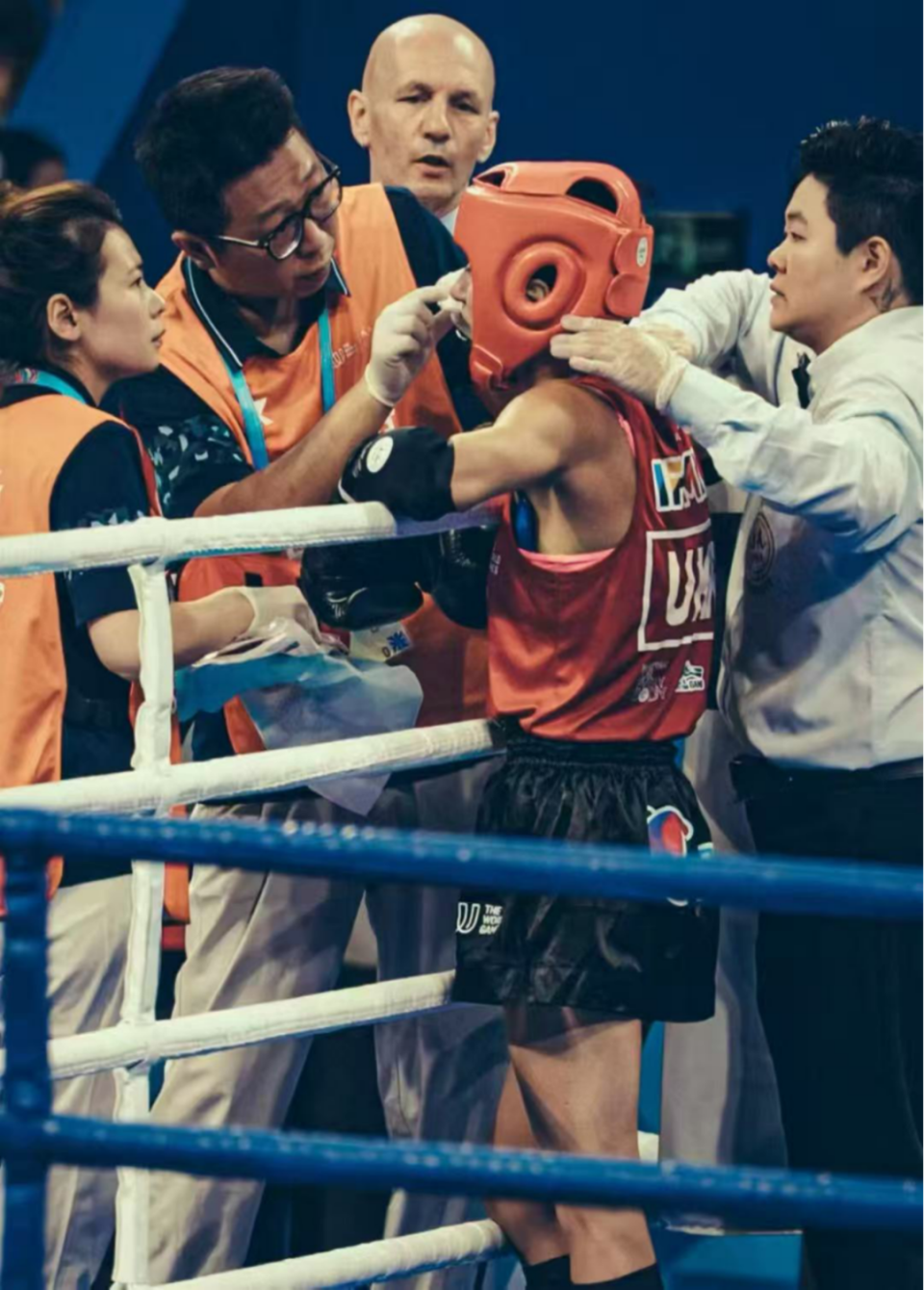 获世界自由 获世界自由