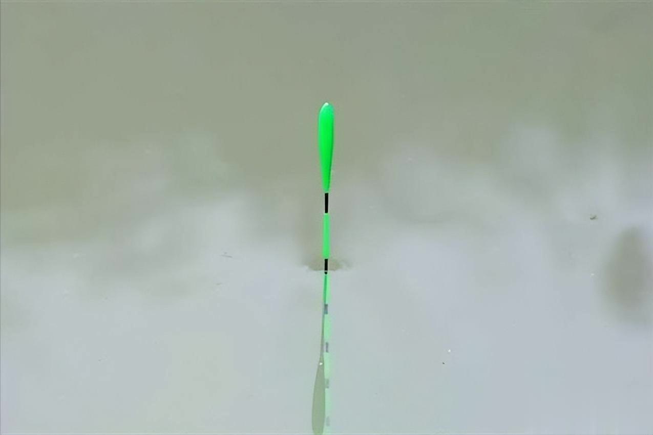 阴天水温上, 鲫鱼, 安静 阴天水温上, 鲫鱼, 安静